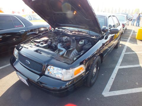 2003 Ford Crown Victoria - black Ford Crown Victoria with raised hood revealing its engine, parked among other cars in a sunlit show lot.