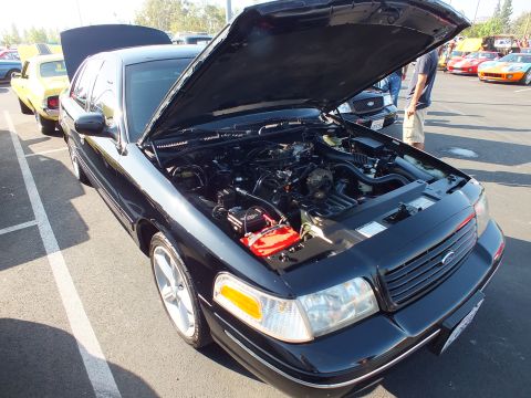 2003 Ford Crown Victoria - black Ford Crown Victoria with hood raised showing the engine and a red battery box, parked among show cars including yellow classics.