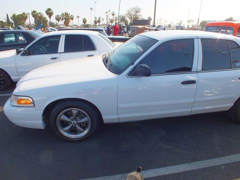 2003 Ford Crown Victoria - Side profile of a white Ford Crown Victoria sedan with five-spoke wheels and tinted windows parked under palm trees at a show.