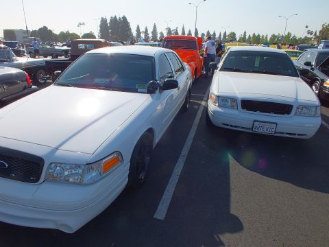 2003 Ford Crown Victoria - Two white Ford Crown Victoria sedans parked nose-out beside each other in a sunlit lot with an orange pickup behind them.