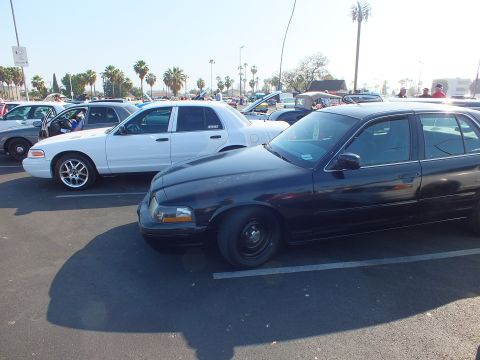 2003 Ford Crown Victoria - black sedan riding on black steel wheels parked beside a white sedan in a busy outdoor car show lot lined with palm trees.