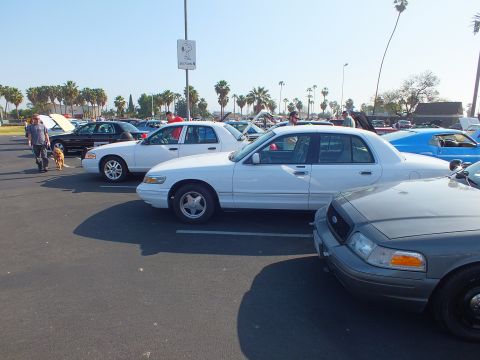 2003 Ford Crown Victoria - Several white Ford Crown Victoria sedans parked in rows at a sunlit car show with palm trees and people in the background.