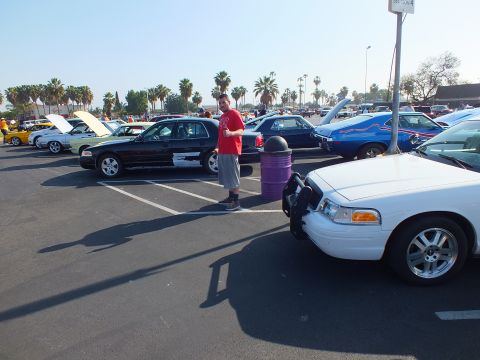2003 Ford Crown Victoria - man in a red shirt stands among parked white and black sedans by a purple trash barrel at a sunny outdoor car show.