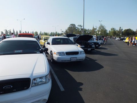 2003 Ford Crown Victoria - line of parked sedans, including a white Ford, stretches across a sunlit lot with spectators and open hoods in the distance.
