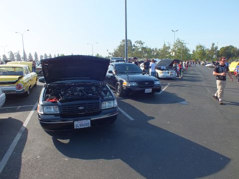 2003 Ford Crown Victoria - Two black sedans sit with hoods raised at a car show, one displaying plate 4LQH600, a vintage yellow car alongside.