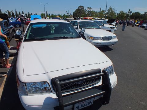 2003 Ford Crown Victoria - Front view of a white Ford sedan with a push bar and plate 6LAX285, next to a white Mercury at a packed car show.