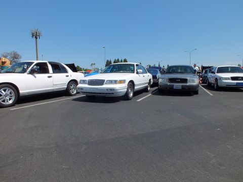 2003 Ford Crown Victoria - row of full-size sedans, including white Ford and Mercury models, parked front-in across a sunny car-show lot.