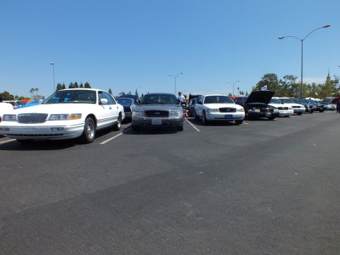 2003 Ford Crown Victoria - lineup of full-size sedans, including a white Mercury and several Ford sedans, parked in a sunny lot at a car meet.
