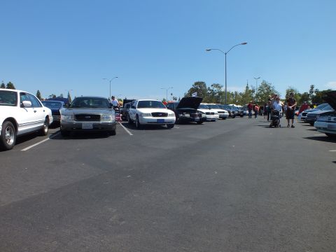 2003 Ford Crown Victoria - long row of full-size sedans, some with hoods raised, parked in an asphalt lot with spectators walking nearby.