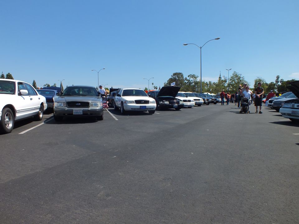 Long row of parked sedans with raised hoods at a car show