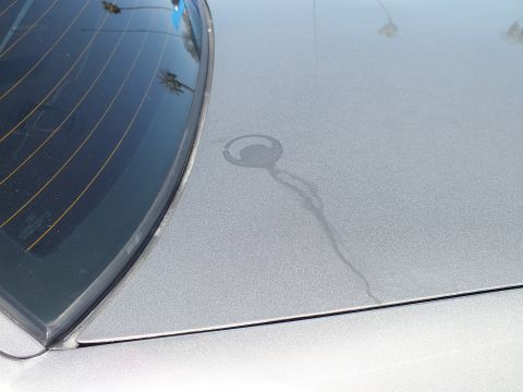 2003 Ford Crown Victoria - close-up of a silver sedan's rear decklid and tinted back glass showing water-spot staining on the paint.