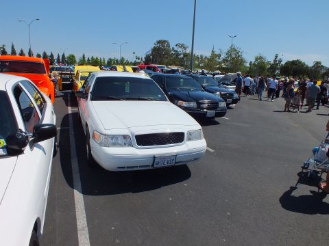 2003 Ford Crown Victoria - white Ford sedan bearing a WHITE VIC license plate parked among colorful cars and crowds at an outdoor car show.