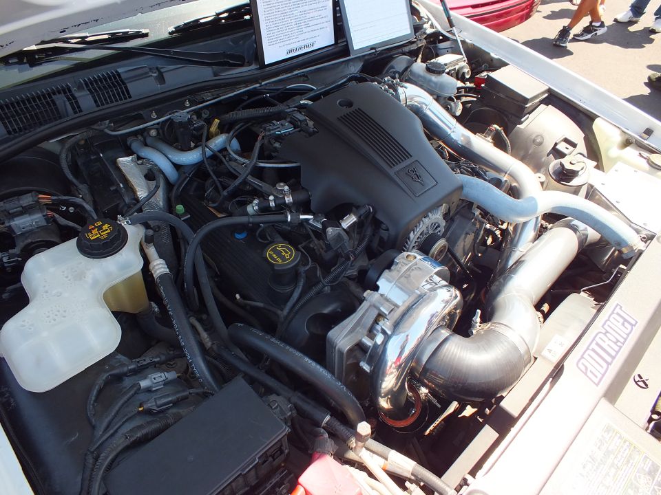 Modified V8 engine bay of a white car with chrome supercharger piping and Ford coil-pack covers