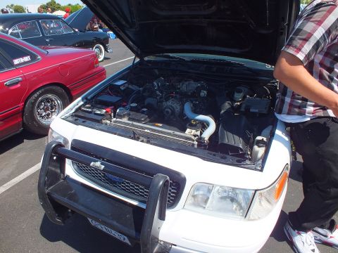 2003 Ford Crown Victoria - white SUV with brush guard and open hood revealing the engine bay, parked beside a red sedan at an outdoor car show.