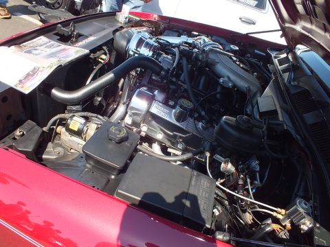 Engine bay of a red car showing a Ford V8 with intake plumbing and a printed display card