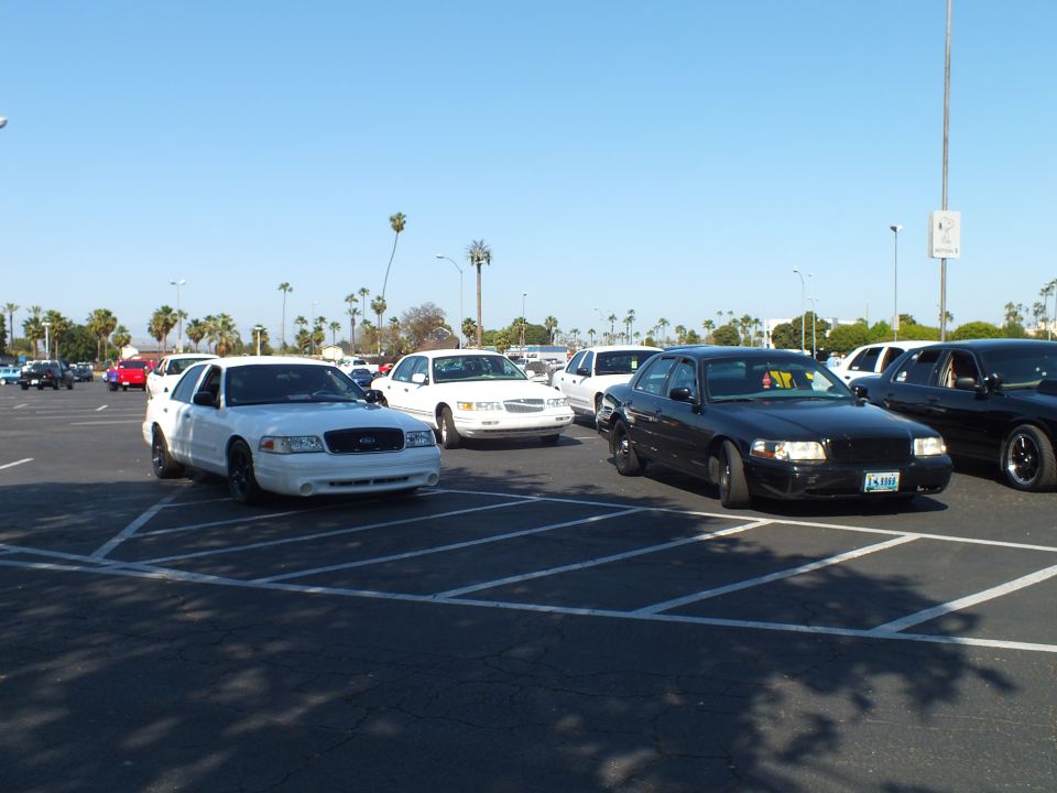 White and black full-size sedans parked in a sunny lot with palm trees