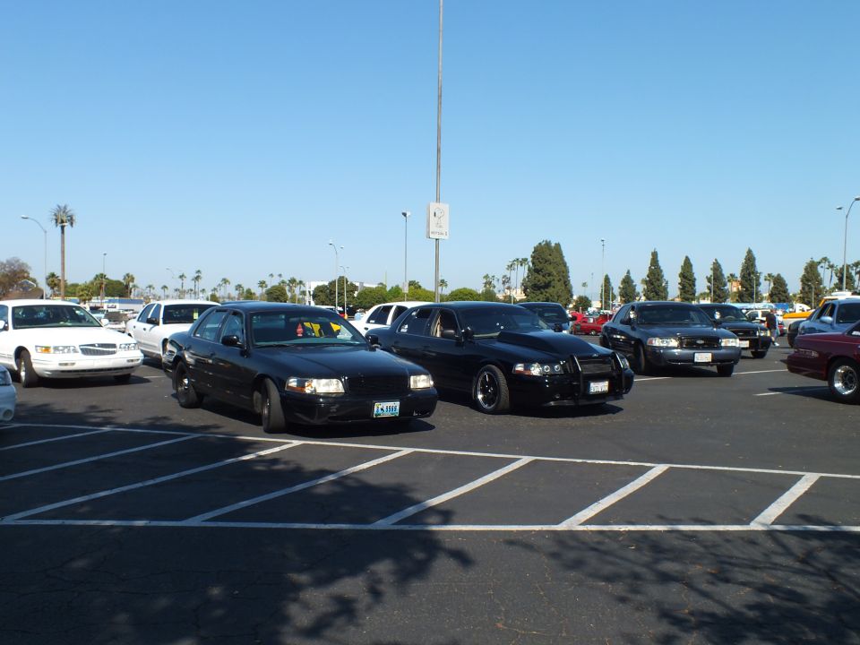 Black full-size sedans parked in a sunny lot under a clear blue sky