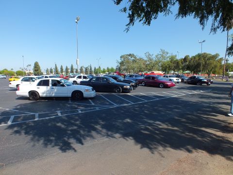 White and dark full-size sedans parked under a leafy tree in a sunny lot