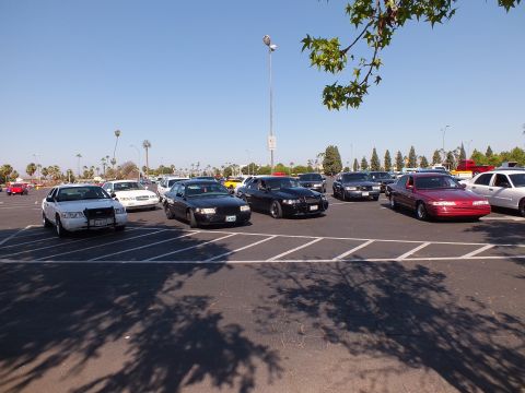 Silver, black and red full-size sedans parked under tree branches in a lot