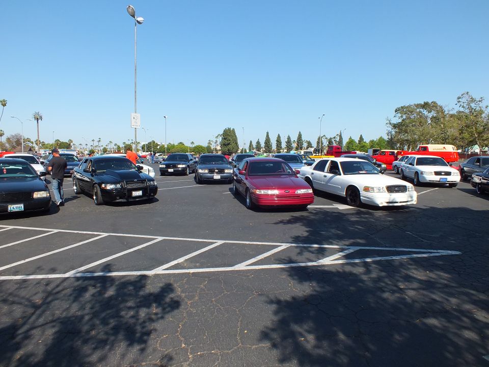 Black, red and white full-size sedans parked in a sunny lot