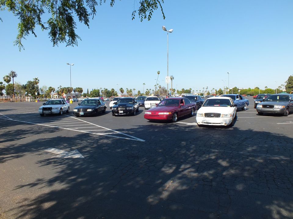 Row of sedans including a red and a white car across a wide sunny lot
