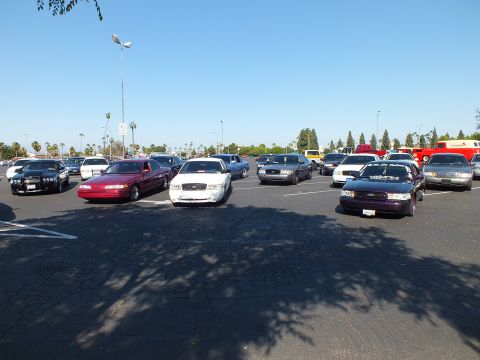 Red, white and purple full-size sedans parked in a sunny lot
