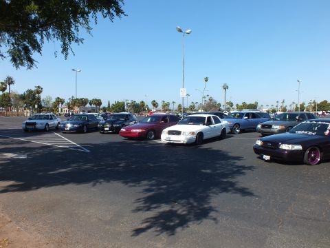 Silver, blue, red and white sedans parked across a sunny lot