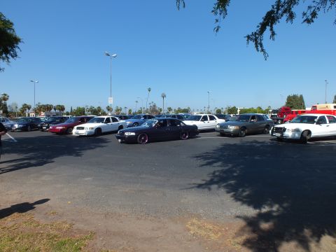 Lowered dark sedan and other cars with a red fire truck in a sunny lot