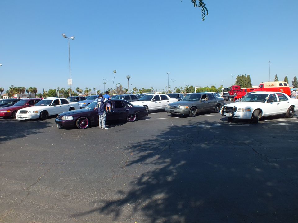Person leaning on a lowered purple sedan among parked cars in a sunny lot