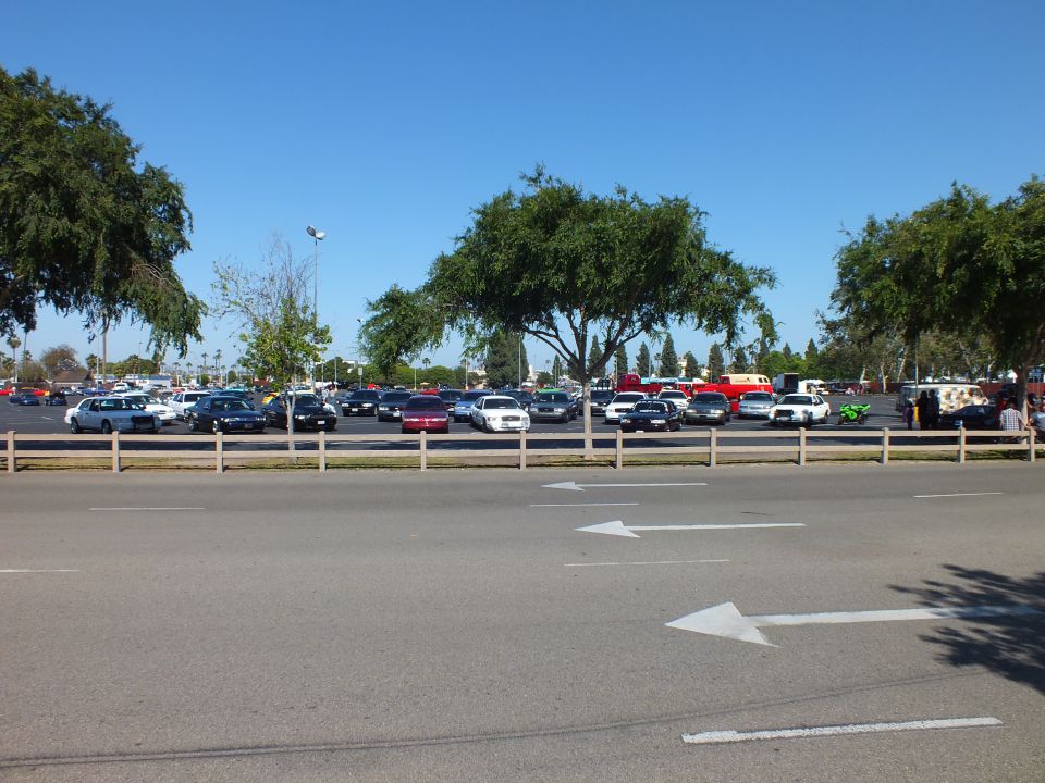 Parked cars and trees beyond a post-and-rail fence with painted arrows on the road