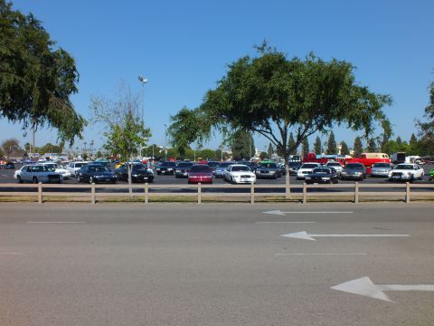 Sedans parked in a lot behind a wooden fence with a large shade tree