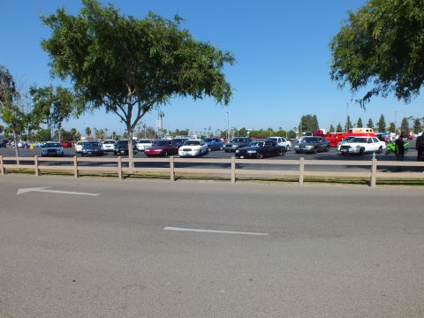 Cars angle-parked across a lot beyond a wooden fence with palm trees behind