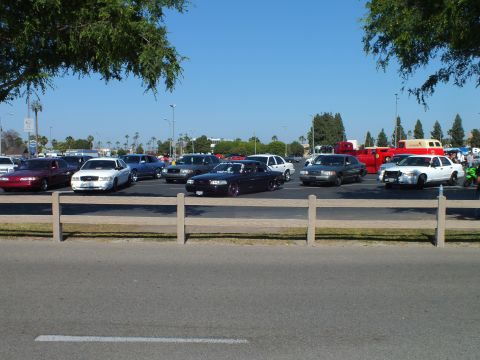 Sedans parked in a lot with a dark car facing forward and palm trees behind