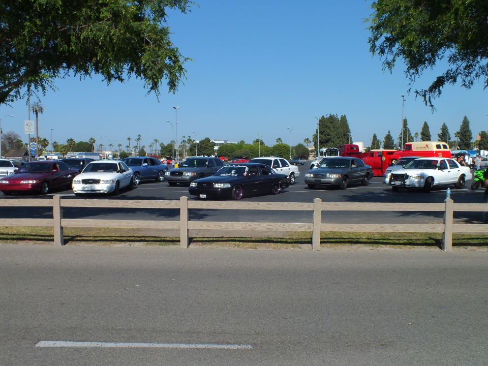 Sedans parked in a lot with a dark car facing forward and palm trees behind