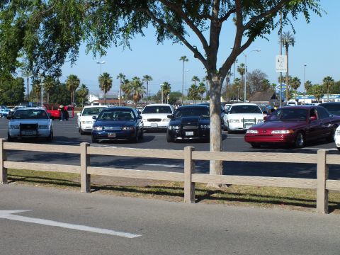 Parked sedans and a maroon Ford car beside a tree in a lot
