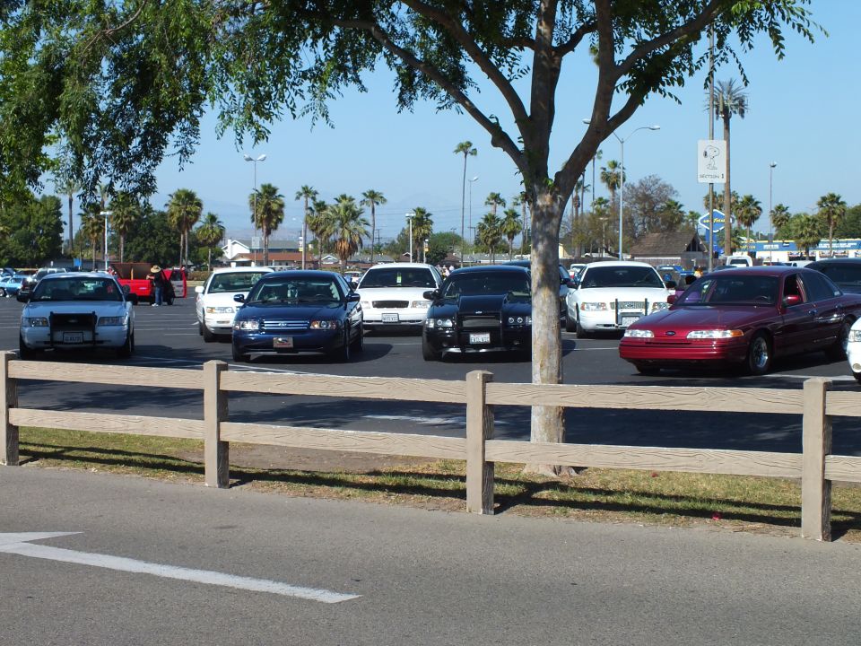 Parked sedans and a maroon Ford car beside a tree in a lot