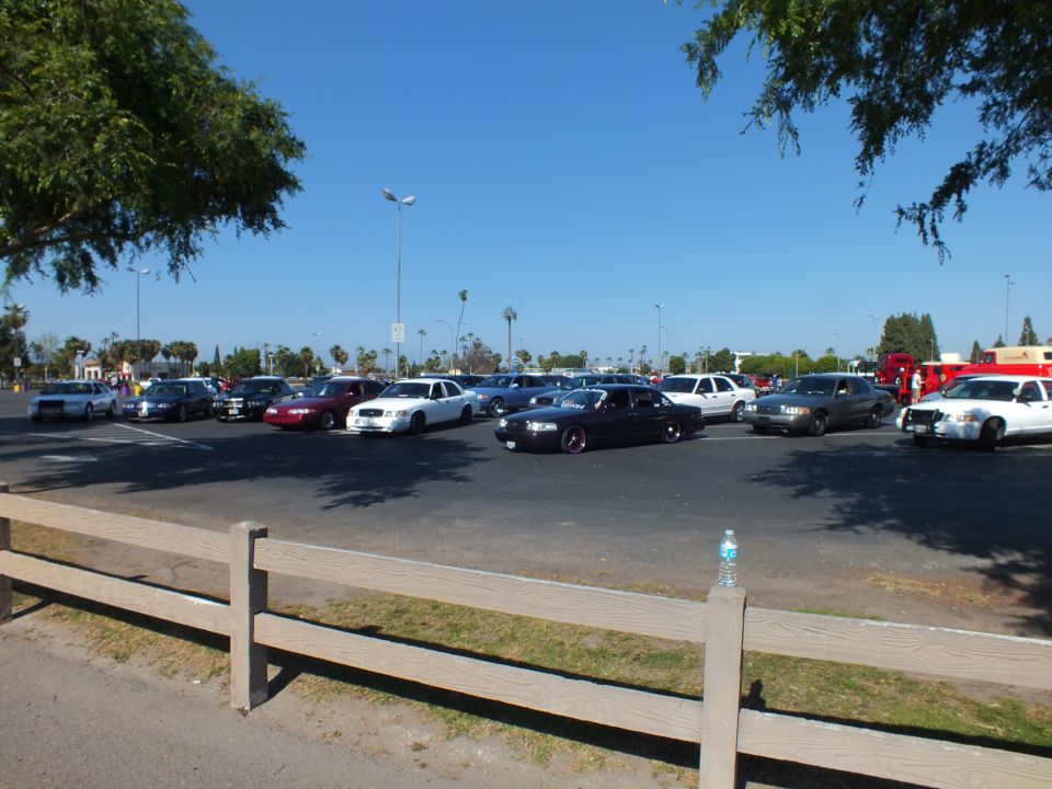 Row of sedans including a lowered black car across a sunlit lot