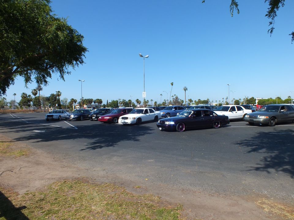 Sedans parked at angles with a dark car at center in a sunny lot