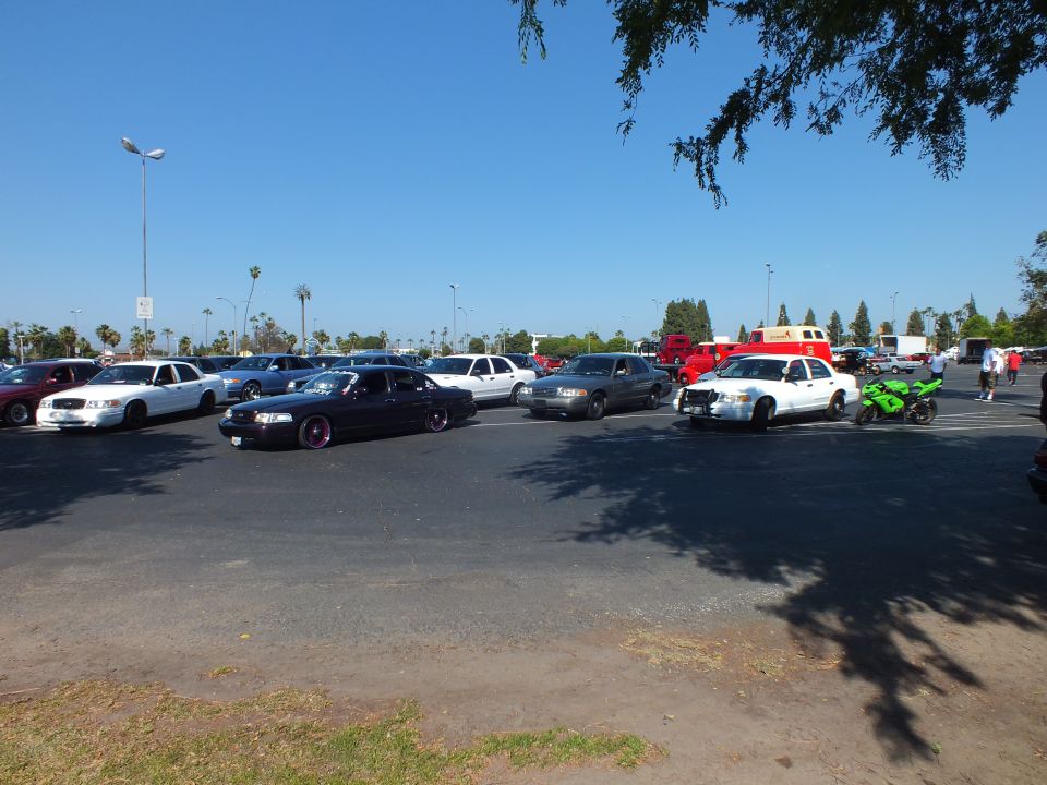 Lowered black sedan, white sedans and a green sportbike in a sunny lot