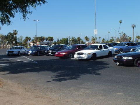 Cars angle-parked including a maroon and white sedan in a sunny lot