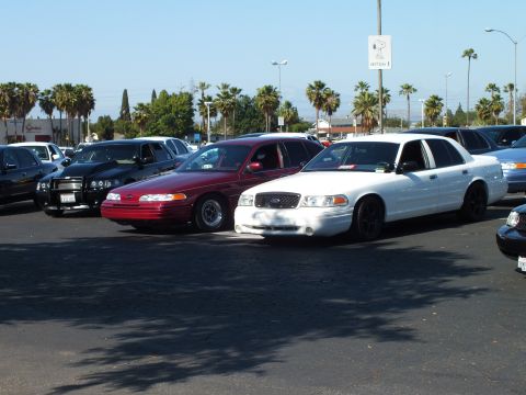 Maroon and white Ford sedans parked close in a sunny palm-lined lot