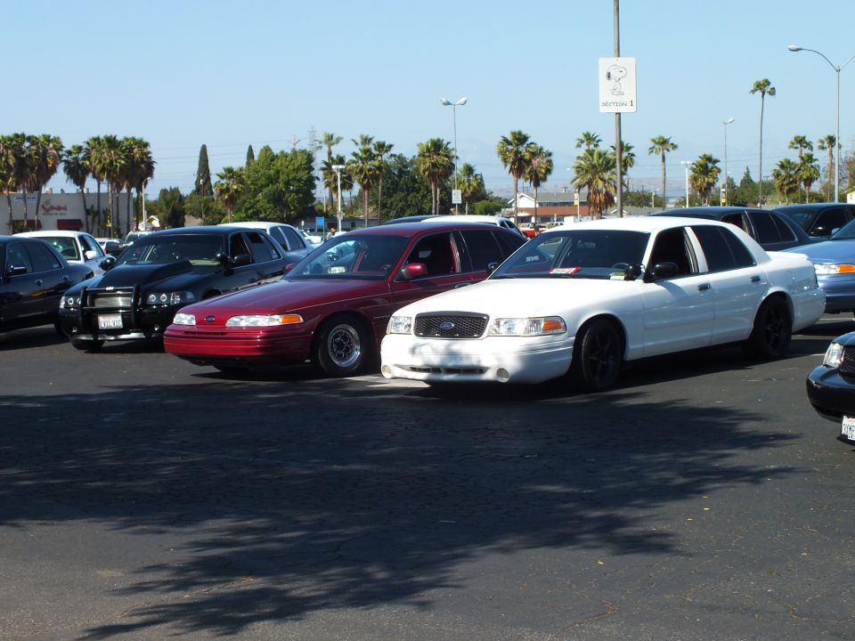 Maroon and white Ford sedans parked close in a sunny palm-lined lot