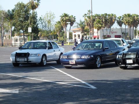 Silver Ford sedan and dark blue Ford sedan parked in a sunny lot