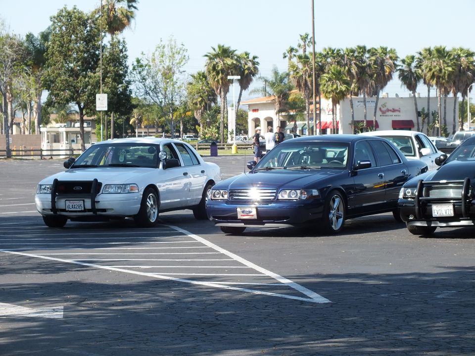 Silver Ford sedan and dark blue Ford sedan parked in a sunny lot