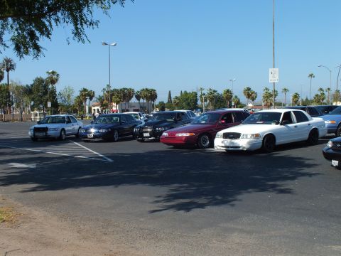 Row of full-size sedans including a maroon and a white car parked across a wide asphalt lot