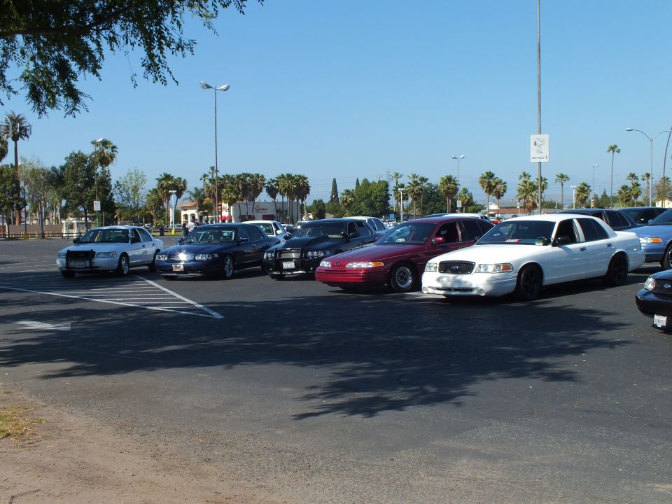 Row of full-size sedans including a maroon and a white car parked across a wide asphalt lot