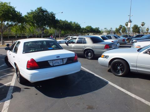 White Ford sedan with California plate 6PFN439 parked beside other sedans in a lot