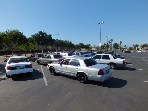 White and silver full-size sedans angled across a large empty asphalt parking lot