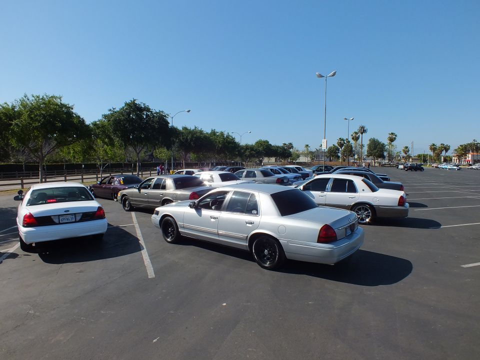 White and silver full-size sedans angled across a large empty asphalt parking lot