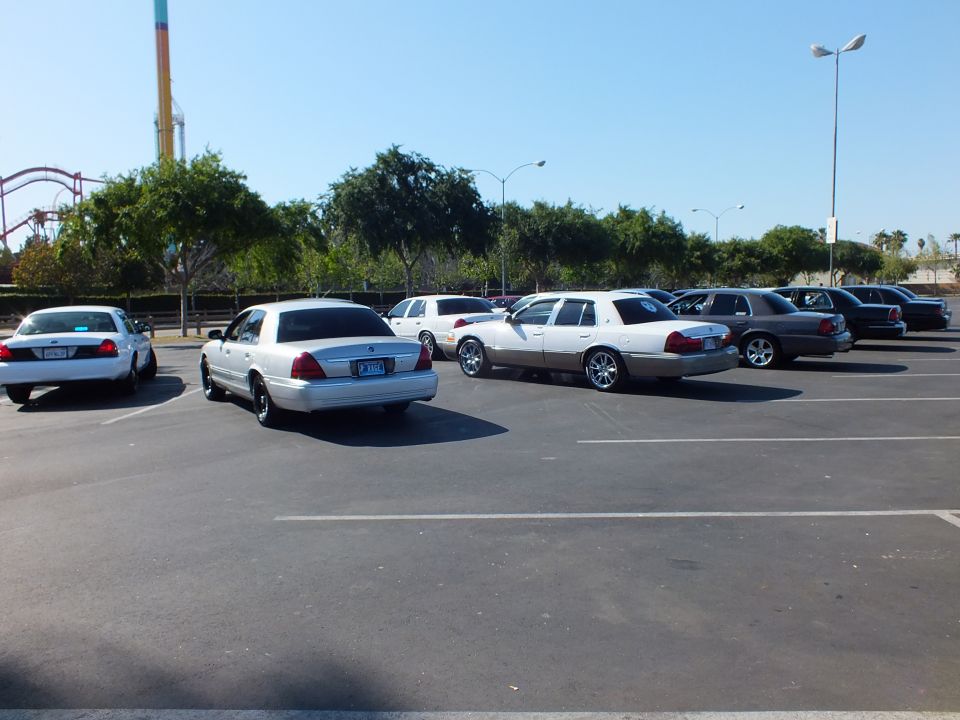 White and silver sedans parked near an amusement park roller coaster and trees